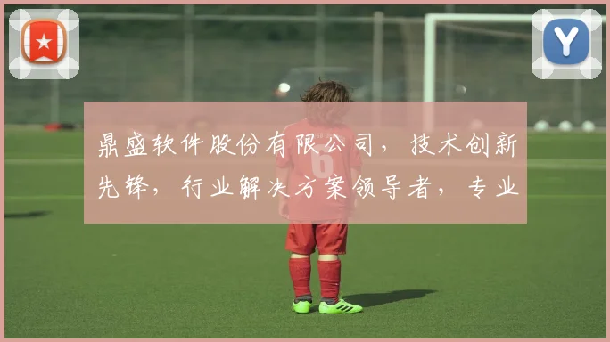 鼎盛软件股份有限公司，技术创新先锋，行业解决方案领导者，专业服务，共创未来。