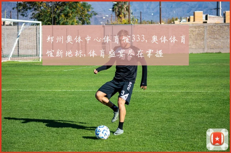 郑州奥体中心体育馆333,奥体体育馆新地标,体育盛宴尽在掌握