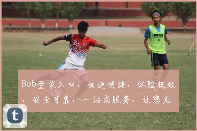 Bob登录入口，快速便捷，体验极致，安全可靠，一站式服务，让您无忧享受