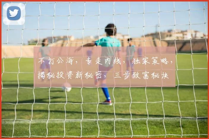 不打公海，专走内线，独家策略，揭秘投资新秘密，三步致富秘诀